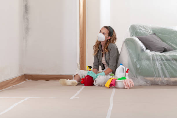 Reliable Crawl Space Mold Removal contractor in Sicklerville, NJ by WQB Mold Removal